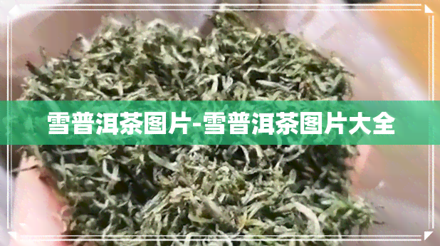 雪普洱茶图片-雪普洱茶图片大全