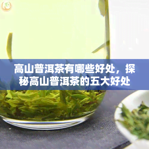 高山普洱茶有哪些好处，探秘高山普洱茶的五大好处