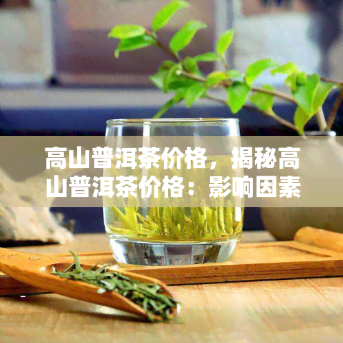 高山普洱茶价格，揭秘高山普洱茶价格：影响因素与市场价格分析