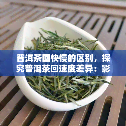 普洱茶回快慢的区别，探究普洱茶回速度差异：影响因素与品鉴技巧