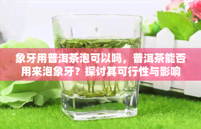 象牙用普洱茶泡可以吗，普洱茶能否用来泡象牙？探讨其可行性与影响