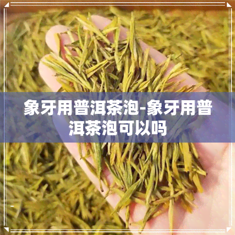 象牙用普洱茶泡-象牙用普洱茶泡可以吗