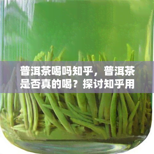 普洱茶喝吗知乎，普洱茶是否真的喝？探讨知乎用户的观点