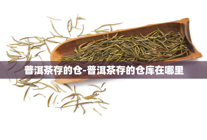 普洱茶存的仓-普洱茶存的仓库在哪里