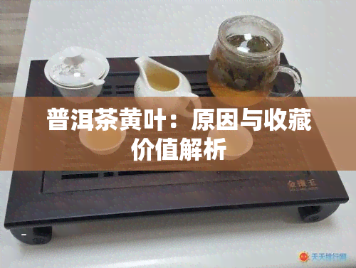 普洱茶黄叶：原因与收藏价值解析