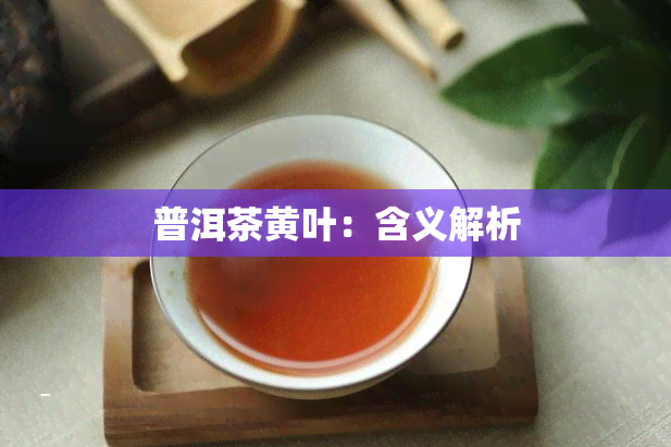 普洱茶黄叶：含义解析