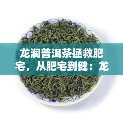 龙润普洱茶拯救肥宅，从肥宅到健：龙润普洱茶的神奇功效