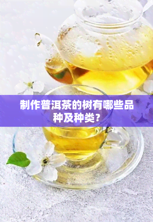 制作普洱茶的树有哪些品种及种类？