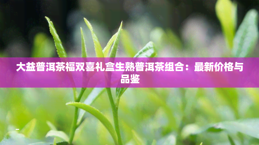 大益普洱茶福双喜礼盒生熟普洱茶组合：最新价格与品鉴