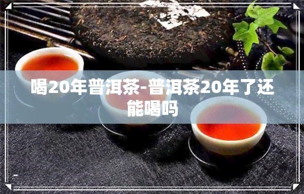 喝20年普洱茶-普洱茶20年了还能喝吗