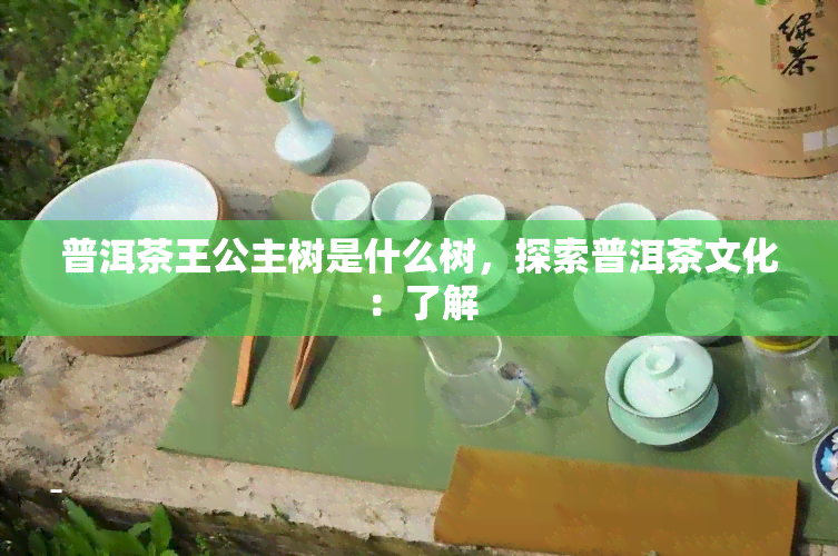 普洱茶王公主树是什么树，探索普洱茶文化：了解