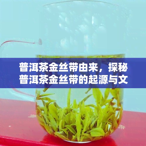 普洱茶金丝带由来，探秘普洱茶金丝带的起源与文化含义