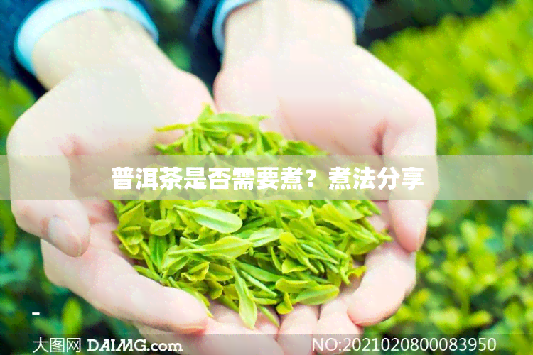 普洱茶是否需要煮？煮法分享