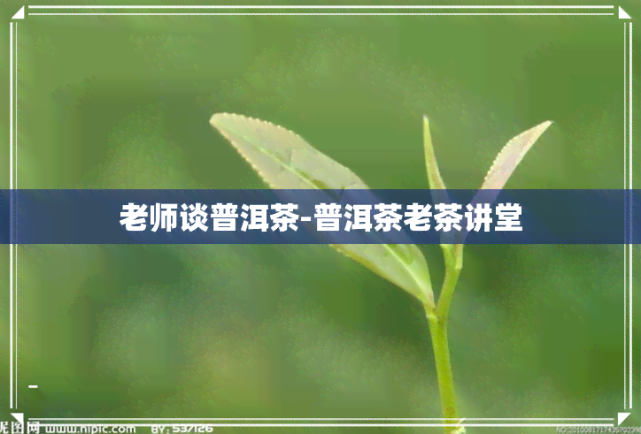 老师谈普洱茶-普洱茶老茶讲堂