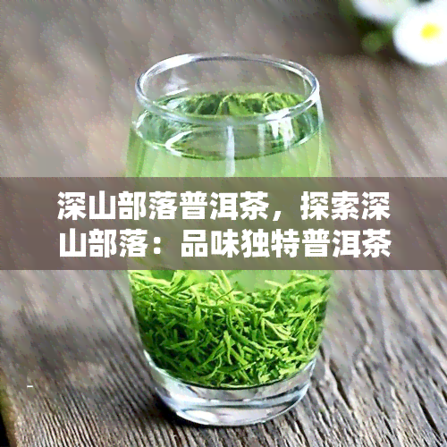 深山部落普洱茶，探索深山部落：品味独特普洱茶的魅力