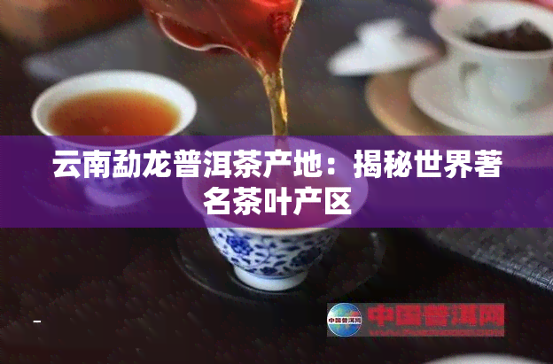 云南勐龙普洱茶产地：揭秘世界著名茶叶产区