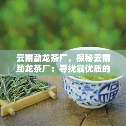 云南勐龙茶厂，探秘云南勐龙茶厂：寻找更优质的普洱茶