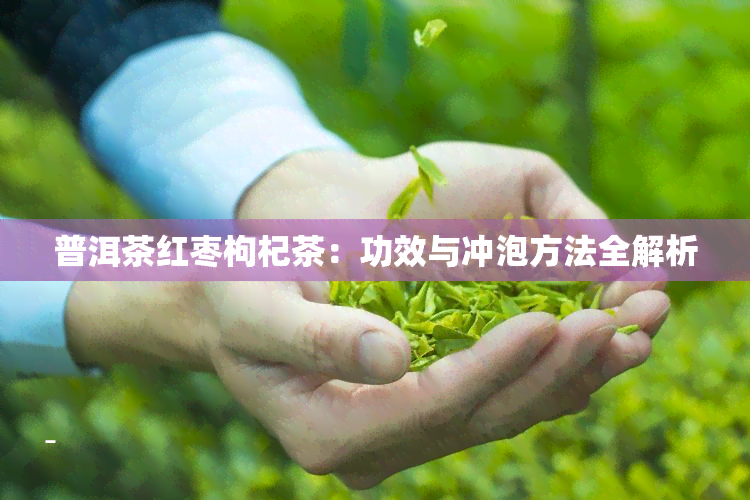 普洱茶红枣枸杞茶：功效与冲泡方法全解析