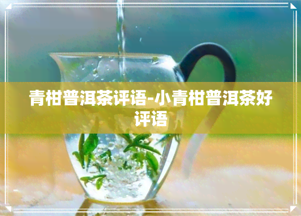 青柑普洱茶评语-小青柑普洱茶好评语