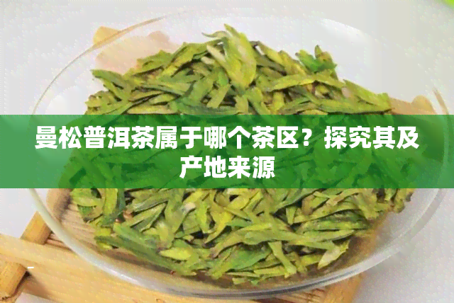 曼松普洱茶属于哪个茶区？探究其及产地来源