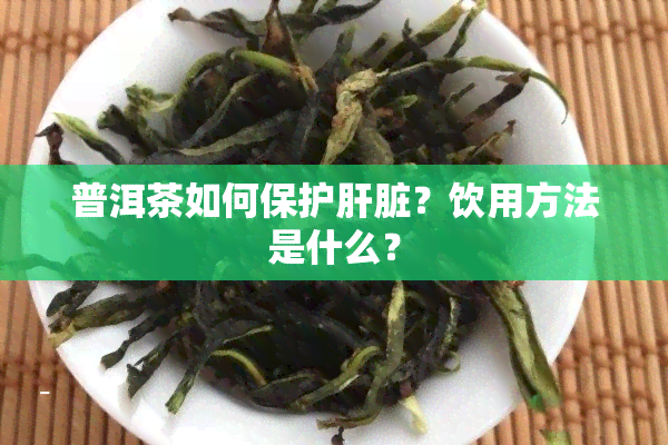 普洱茶如何保护肝脏？饮用方法是什么？