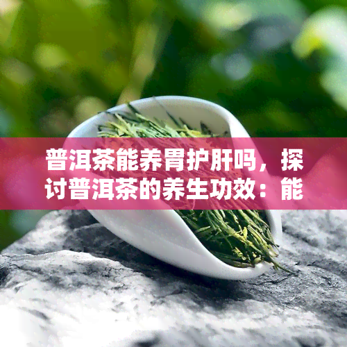 普洱茶能养胃护肝吗，探讨普洱茶的养生功效：能否养胃护肝？