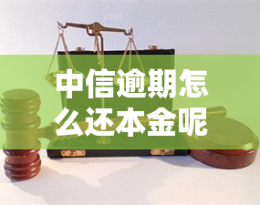 中信逾期怎么还本金呢，如何归还中信逾期的本金？