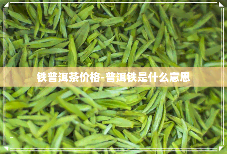 铁普洱茶价格-普洱铁是什么意思