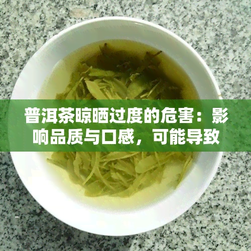 普洱茶晾晒过度的危害：影响品质与口感，可能导致霉变、苦涩等问题