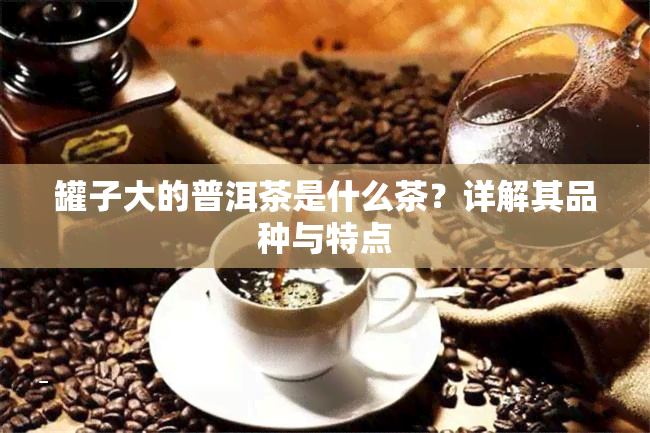 罐子大的普洱茶是什么茶？详解其品种与特点