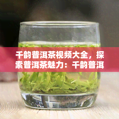 千韵普洱茶视频大全，探索普洱茶魅力：千韵普洱茶视频大全