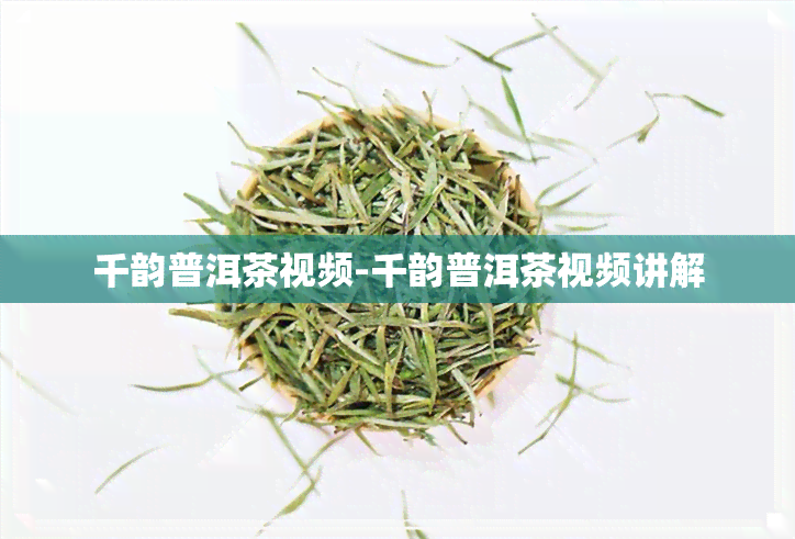 千韵普洱茶视频-千韵普洱茶视频讲解