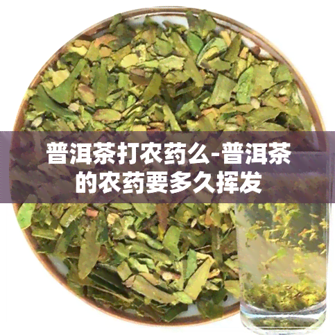 普洱茶打农么-普洱茶的农要多久挥发