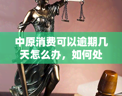 中原消费可以逾期几天怎么办，如何处理中原消费逾期问题？