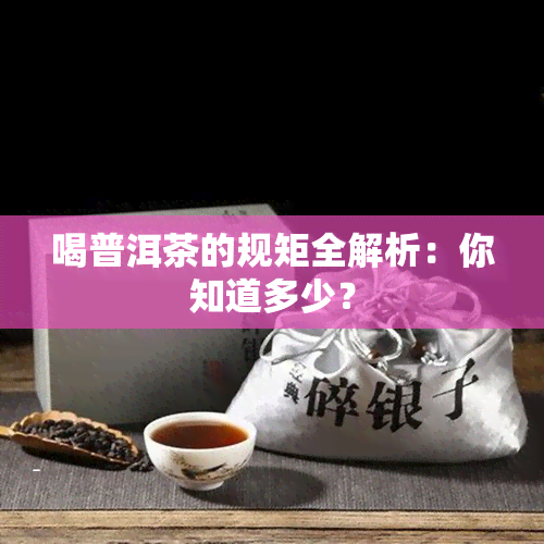 喝普洱茶的规矩全解析：你知道多少？