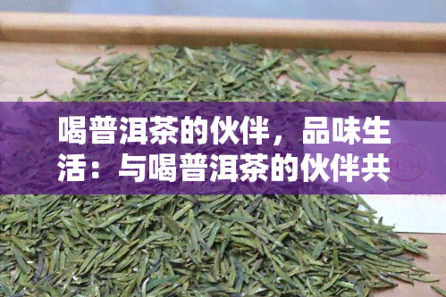 喝普洱茶的伙伴，品味生活：与喝普洱茶的伙伴共享静时刻