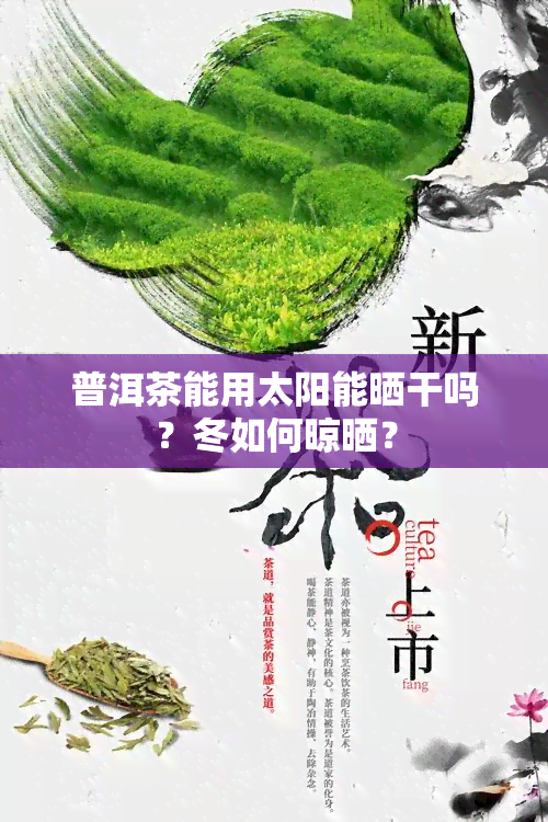 普洱茶能用太阳能晒干吗？冬如何晾晒？