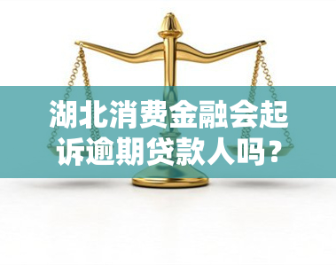 湖北消费金融会起诉逾期贷款人吗？知乎用户分享经验