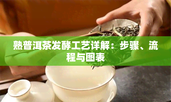 熟普洱茶发酵工艺详解：步骤、流程与图表