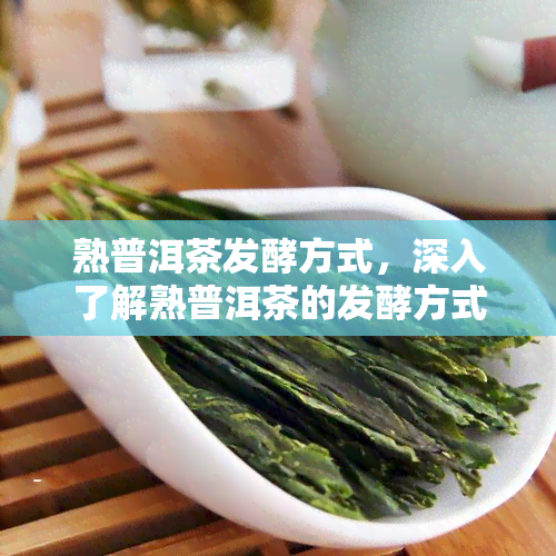 熟普洱茶发酵方式，深入了解熟普洱茶的发酵方式：从原料到成品的过程解析