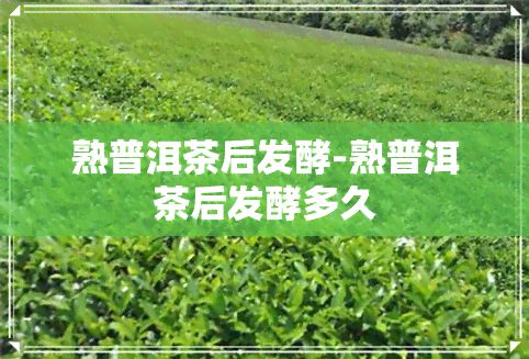 熟普洱茶后发酵-熟普洱茶后发酵多久