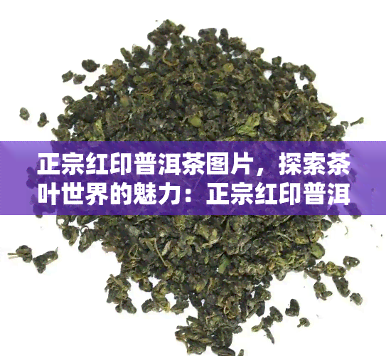 正宗红印普洱茶图片，探索茶叶世界的魅力：正宗红印普洱茶图片欣