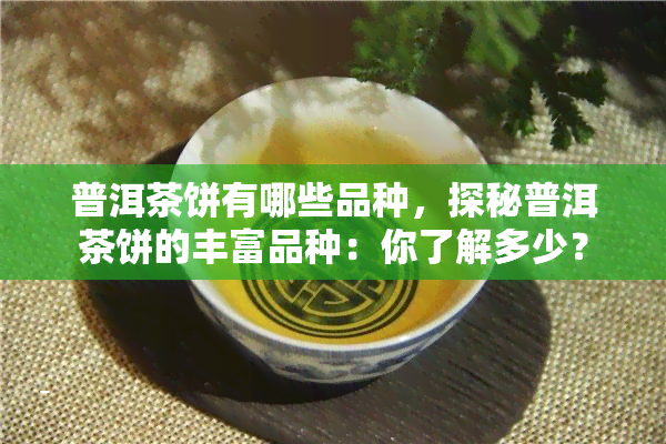 普洱茶饼有哪些品种，探秘普洱茶饼的丰富品种：你了解多少？