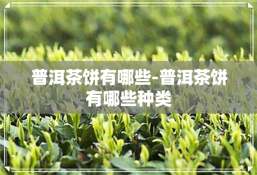 普洱茶饼有哪些-普洱茶饼有哪些种类