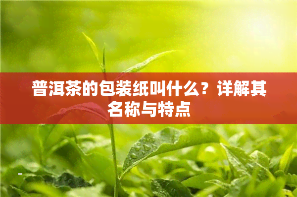 普洱茶的包装纸叫什么？详解其名称与特点