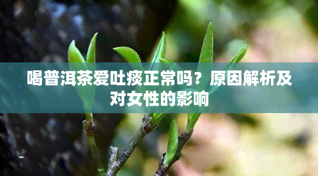 喝普洱茶爱吐痰正常吗？原因解析及对女性的影响