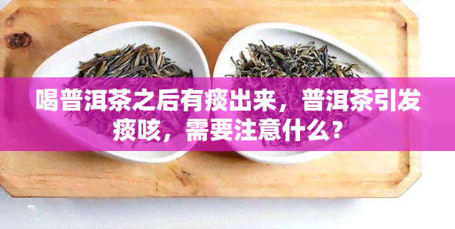 喝普洱茶之后有痰出来，普洱茶引发痰咳，需要注意什么？