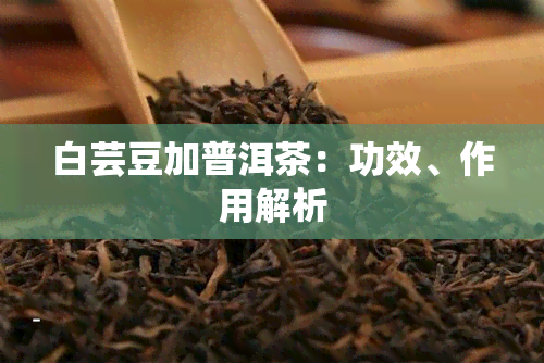 白芸豆加普洱茶：功效、作用解析