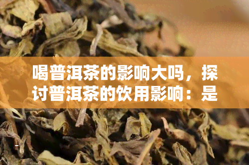 喝普洱茶的影响大吗，探讨普洱茶的饮用影响：是否对人体有重大影响？