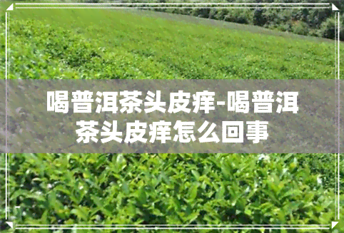 喝普洱茶头皮痒-喝普洱茶头皮痒怎么回事